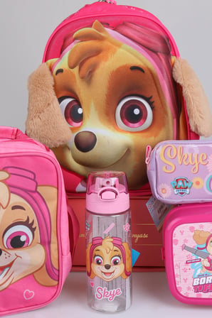 x Dekomus Lisanslı Paw Patrol Küçük Boy Anaokul,Beslenme ve Kalem Çantası,Beslenme Kabı,Matara Seti
