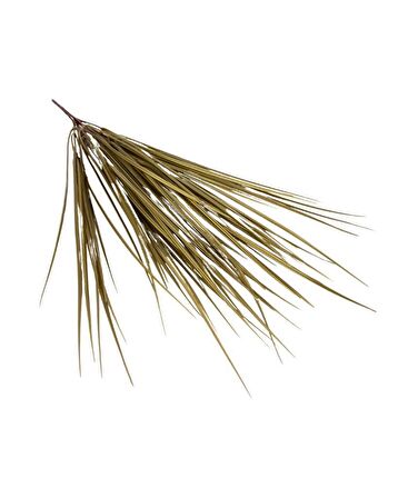 Yapay Çiçek Gold Altın Dore Grass Saz 50cm Bitki Yapay Çiçek Dekor Çiçeği Uzun Ot