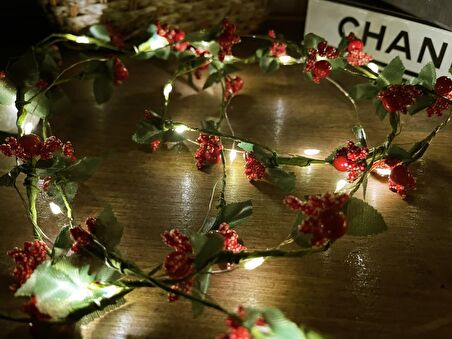 Led Kokina 3 Fonksiyonlu Kendinden Pilli  Işıklı Peri Led 200cm