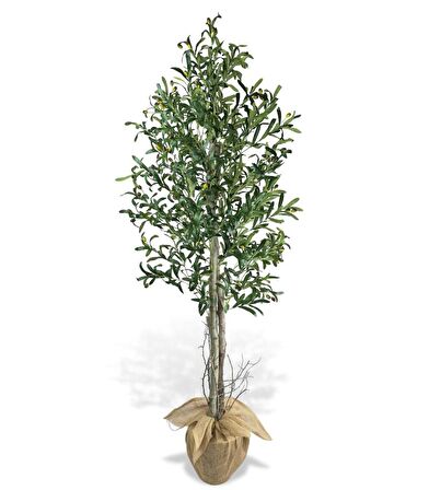 Yapay Zeytin Ağacı 190cm Keten Sarılı Plastik Saksıda İki Gövdeli Doğal Görünümlü Yapay Ağaç