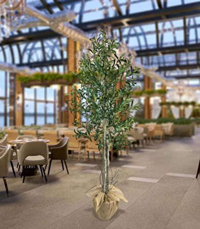 Yapay Zeytin Ağacı 190cm Keten Sarılı Plastik Saksıda İki Gövdeli Doğal Görünümlü Yapay Ağaç