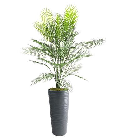 Yapay Ağaç Areka Ağacı Siyah Uzun Kumsal Vazoda Palmiye Ağacı Yapay Areka 170cm 40 Yaprak