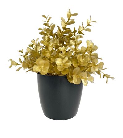 Yapay Çiçek Gold Renk Şimşir Siyah Saksıda Siyah Plastik Saksılı Dekoratif Süs Çiçeği