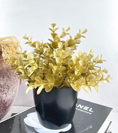 Yapay Çiçek Gold Renk Şimşir Siyah Saksıda Siyah Plastik Saksılı Dekoratif Süs Çiçeği