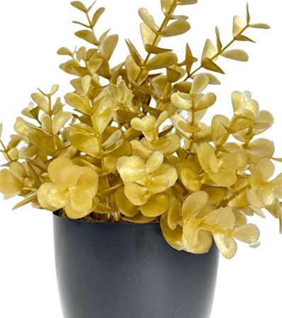 Yapay Çiçek Gold Renk Şimşir Siyah Saksıda Siyah Plastik Saksılı Dekoratif Süs Çiçeği