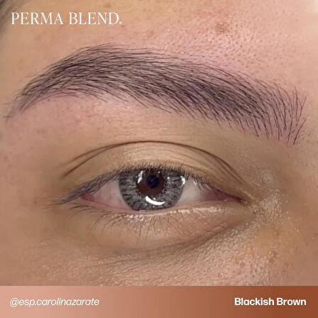 Perma Blend - Light to Dark Eyebrow Mini Set - 4'lü Kalıcı Makyaj Boya Seti - 15 ml