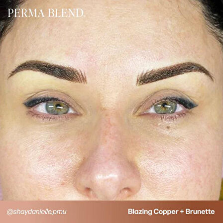 Perma Blend - Light to Dark Eyebrow Mini Set - 4'lü Kalıcı Makyaj Boya Seti - 15 ml