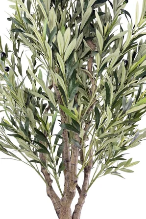 Yapay Zeytin Ağacı Doğal Kök Detaylı Büyük Dolgun Model Beyaz Plastik Küre Saksıda 200cm Yapay Ağaç