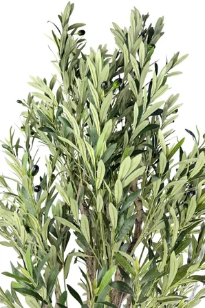 Yapay Zeytin Ağacı Doğal Kök Detaylı Büyük Dolgun Model Beyaz Plastik Küre Saksıda 200cm Yapay Ağaç