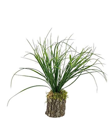 Yapay Çiçek Kütük Saksıda Saz Otu 35cm  Dekoratif Masa Çiçeği 40*20cm