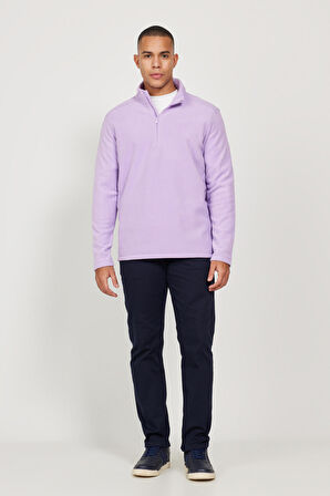 Erkek Lila Anti-Pilling Tüylenme Yapmayan Standart Fit Dik Yaka Polar Sweatshirt