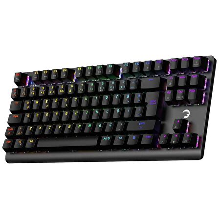 GamePower Eva 7 60M Mekanik 2.4Ghz, Bluetooth Red Switch Türkçe Q 88 Tuş USB RGB Gaming Klavye - 3 Yıl Garantili