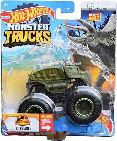 Hot Wheels 1:64 Monster Trucks Arabalar HCP44