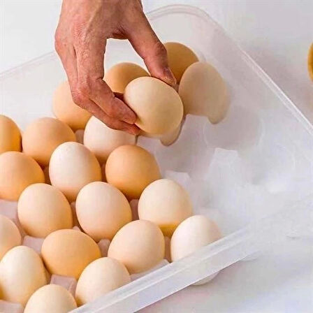 İpek Yıldızı® 30lu Yumurta Saklama Kabı