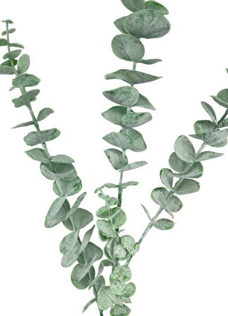 Yapay Çiçek Pastel Yeşil Okaliptus 3Dallı Uzun Dal 76cm Eucalyptus