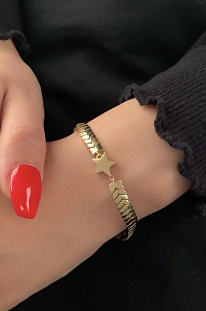 14 Ayar Altın Yıldız Detaylı Geniş Balıksırtı Bileklik