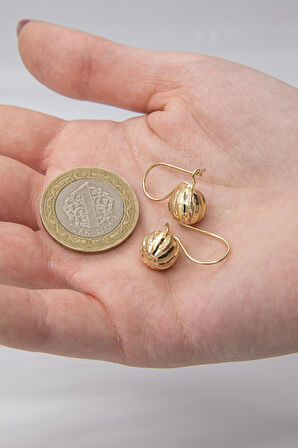 14 Ayar Altın Düz Kalemli Orta Top Küpe