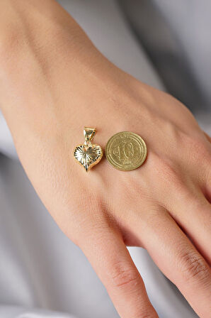 14 Ayar Altın Kalemli Kalp Kolye Ucu