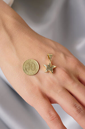 14 Ayar Altın Kalemli Büyük Yıldız Kolye Ucu