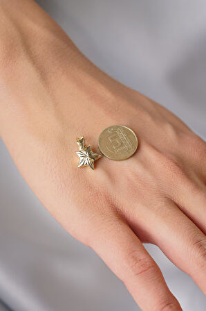 14 Ayar Altın Kalemli Küçük Yıldız Kolye Ucu