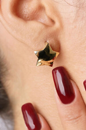 14 Ayar Altın Bombeli Yıldız Küpe