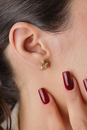 14 Ayar Altın Kalem İşlemeli Yıldız Küpe