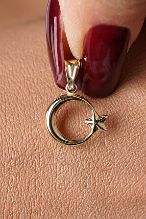 14 Ayar Altın Mini Ay Yıldız Kolye Ucu