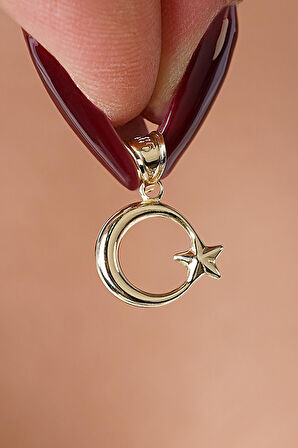 14 Ayar Altın Mini Ay Yıldız Kolye Ucu