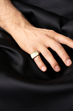 14 Ayar Altın Vita Erkek Yüzük