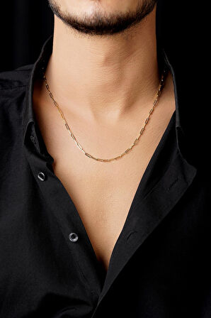 14 Ayar Altın Ataç Zincir Erkek Kolye 2.55 mm