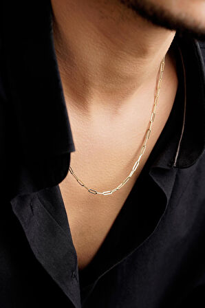 14 Ayar Altın Ataç Zincir Erkek Kolye 2.55 mm