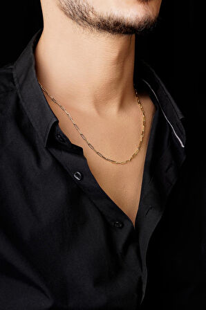 14 Ayar Altın Ataç Zincir Erkek Kolye 2.55 mm