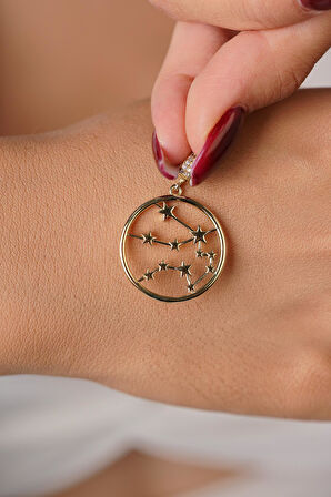 14 Ayar Altın Kova Burcu Kolye Ucu Burç Yıldız Haritası