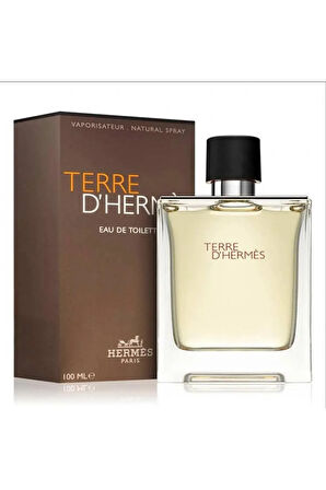 Terre D 100 ml Edt Erkek Parfüm 8513346130009603