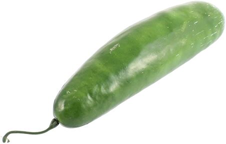 Yapay Sebze Salatalık Cucumber 1adet 17*5cm Gerçek Boyut