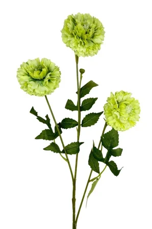 Yapay Çiçek Kasımpatı YEŞİL Uzun Dal 3 Çiçekli 77Cm