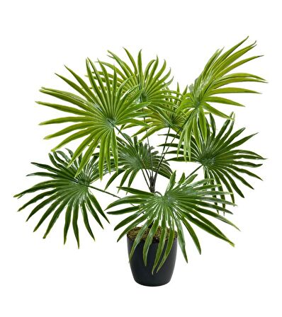 Yapay Çiçek Yelpaze Palmiye 8 Dal 50*40cm Salon Çiçeği Plastik Siyah Saksılı Yapay Bitki