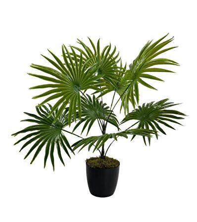 Yapay Çiçek Yelpaze Palmiye 8 Dal 50*40cm Salon Çiçeği Plastik Siyah Saksılı Yapay Bitki