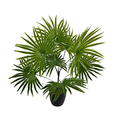 Yapay Çiçek Yelpaze Palmiye 8 Dal 50*40cm Salon Çiçeği Plastik Siyah Saksılı Yapay Bitki