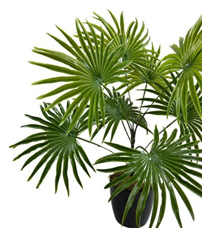 Yapay Çiçek Yelpaze Palmiye 8 Dal 50*40cm Salon Çiçeği Plastik Siyah Saksılı Yapay Bitki