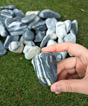 Siyah Beyaz Çizgili Dolomit Taş 6 Kg 2,5-4 Cm Dekoratif Renkli Taş