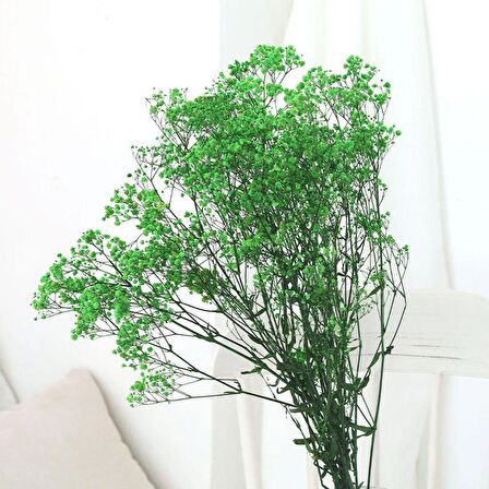 Kuru Çiçek Doğal YEŞİL Cipso 50gram 1. Kalite Şoklanmış Bozulmaz