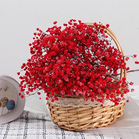 Kuru Çiçek Doğal KIRMIZI Cipso 50gram 1. Kalite Şoklanmış Bozulmaz