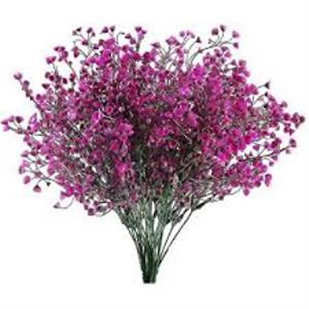 Kuru Çiçek Doğal FUŞYA Cipso 50gram 1. Kalite Şoklanmış Bozulmaz