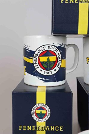 YENİ SEZON LİSANSLI TEKLİ FENERBAHÇE KUPA