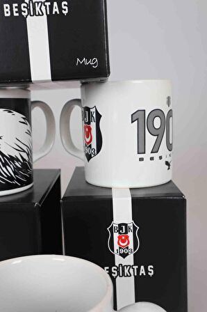 YENİ SEZON LİSANSLI TEKLİ BEŞİKTAŞ KUPA