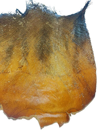 5 ADET  Kurutulmuş Palmiye Ağacı Kabuğu Lifi Natural Ağaç Gövdesi Kokos