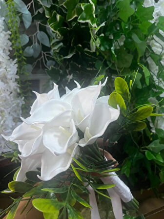 KAYZEN OKOLİP TUS LU GALA GELİ BUKETİ