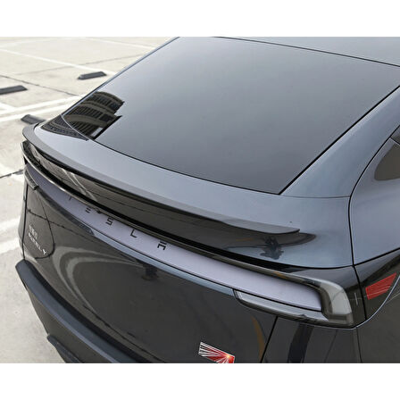 TESLA MODEL Y JUNİPER Pro Version Blow Mat Karbon Fiber Görünüm Spoiler
