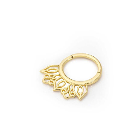 Palace Helix Piercing